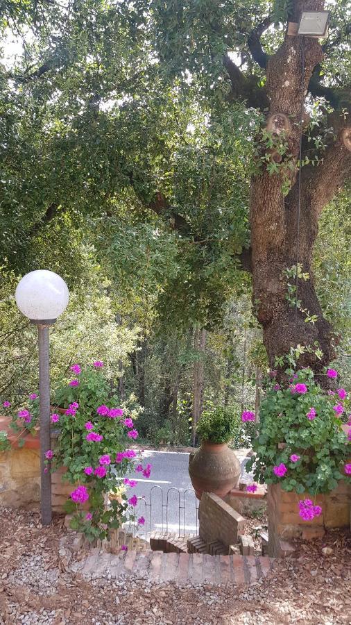Casa Bruna - Cipresseta Del Chianti Castellina in Chianti Εξωτερικό φωτογραφία