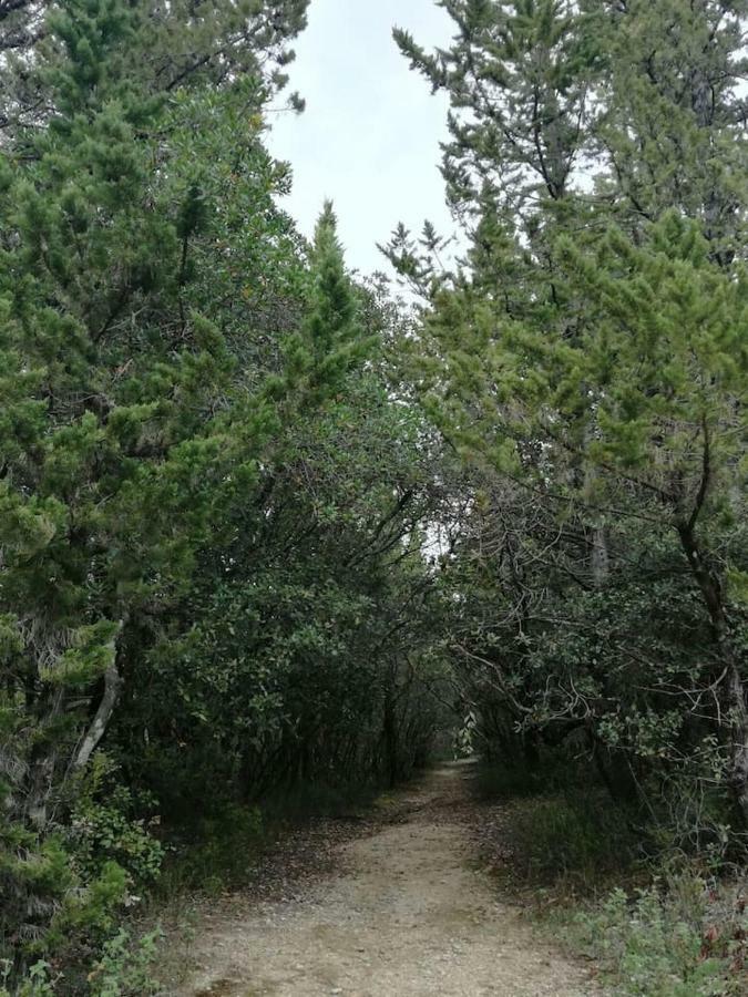 Casa Bruna - Cipresseta Del Chianti Castellina in Chianti Εξωτερικό φωτογραφία